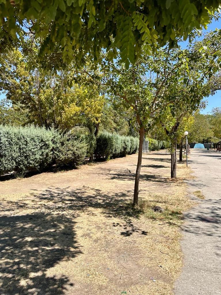 Bungalows Alpha Getafe Zewnętrze zdjęcie