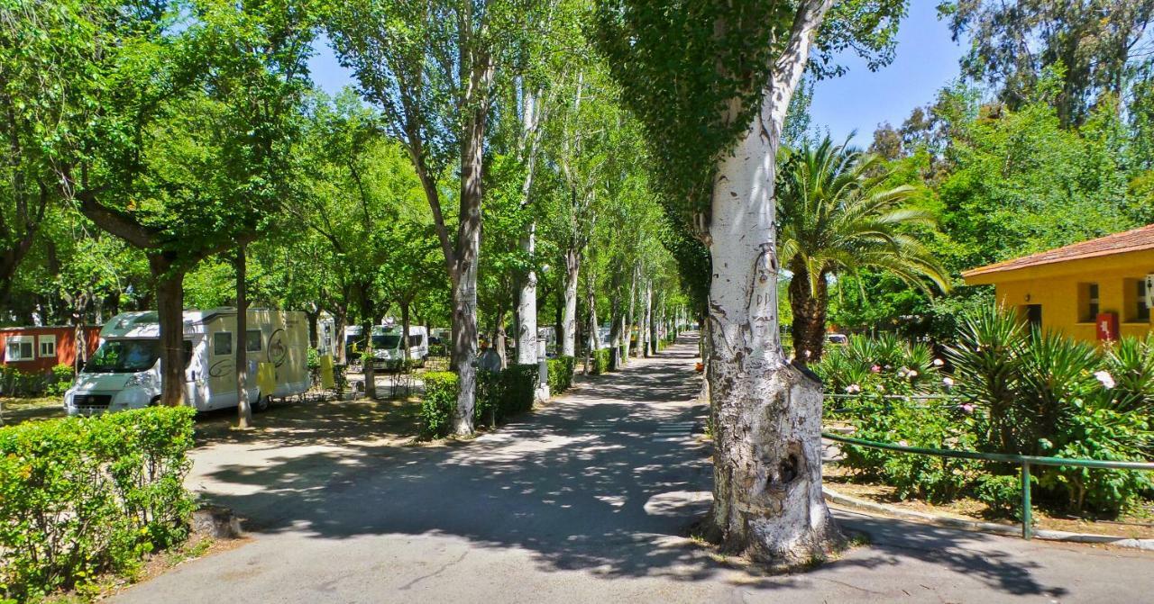 Bungalows Alpha Getafe Zewnętrze zdjęcie